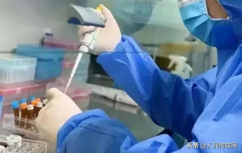 武汉患者去世,花上万找中介运遗体,平时才三四千,网友 太黑心